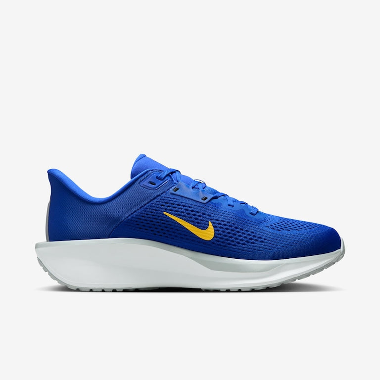 Tênis Nike Quest 6 Masculino