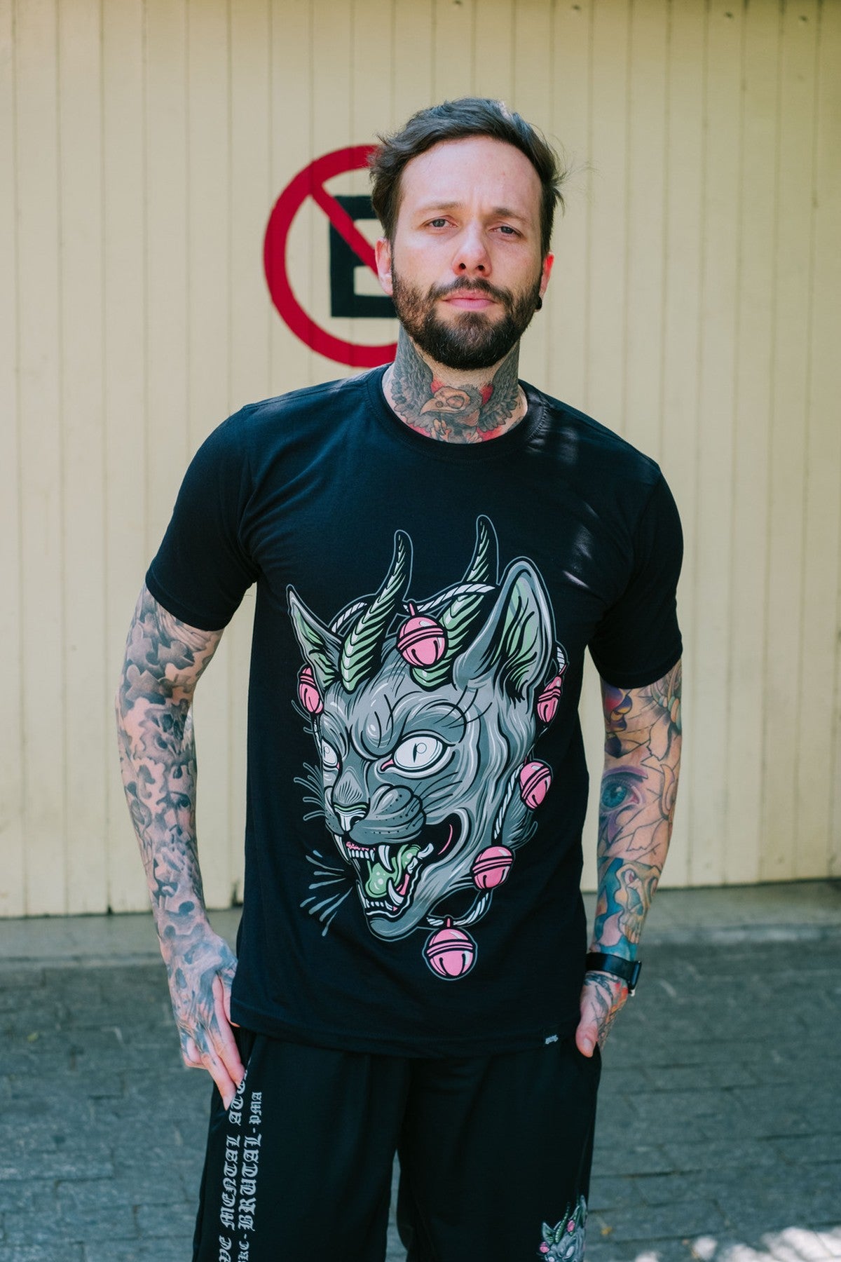 Camiseta - Insanis