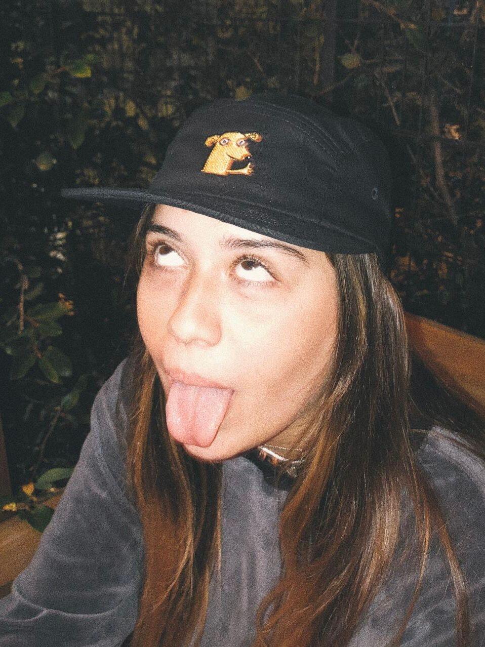 5 Panel vira-lata caramelo