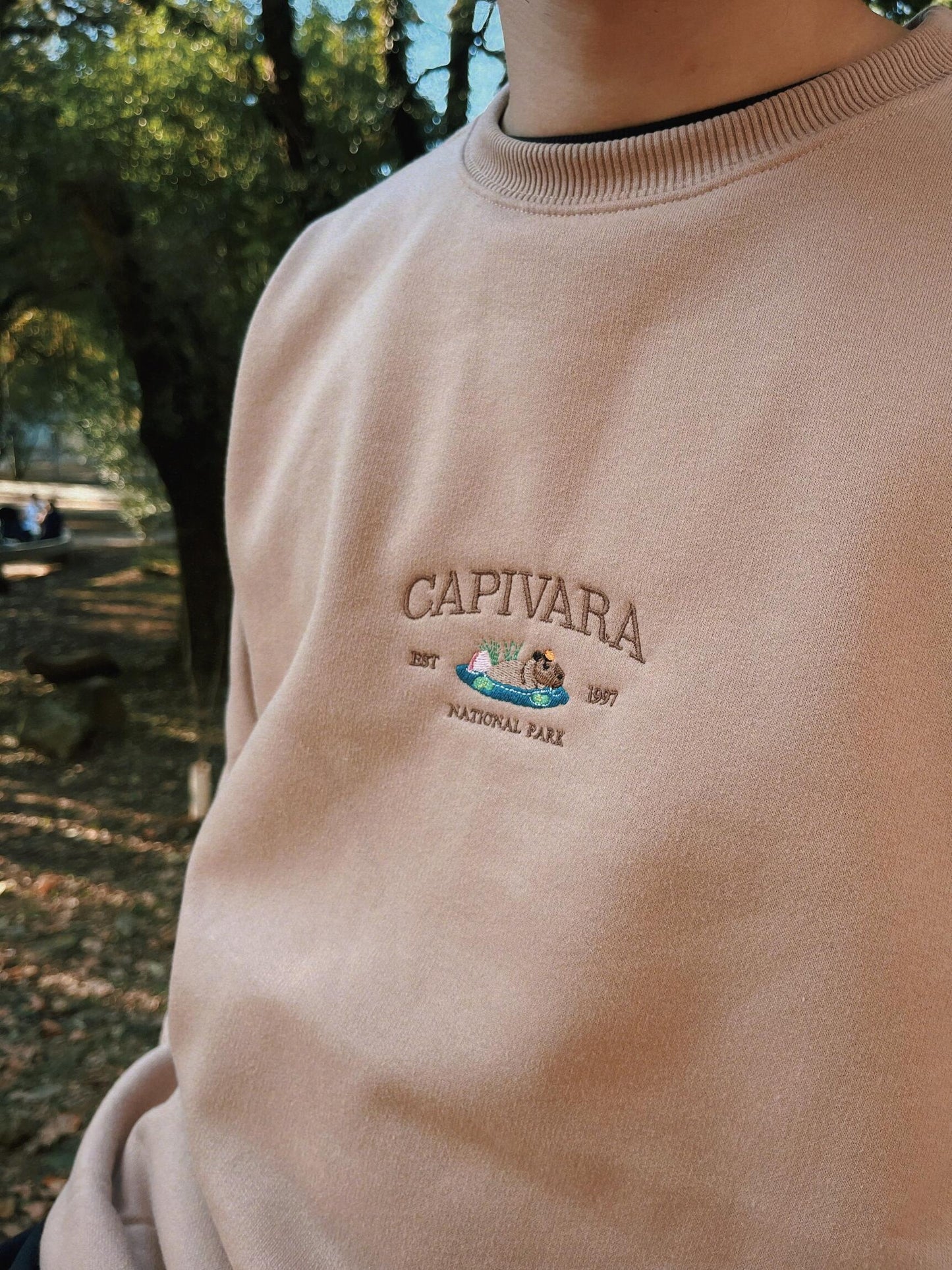 Moletom Careca Capivara