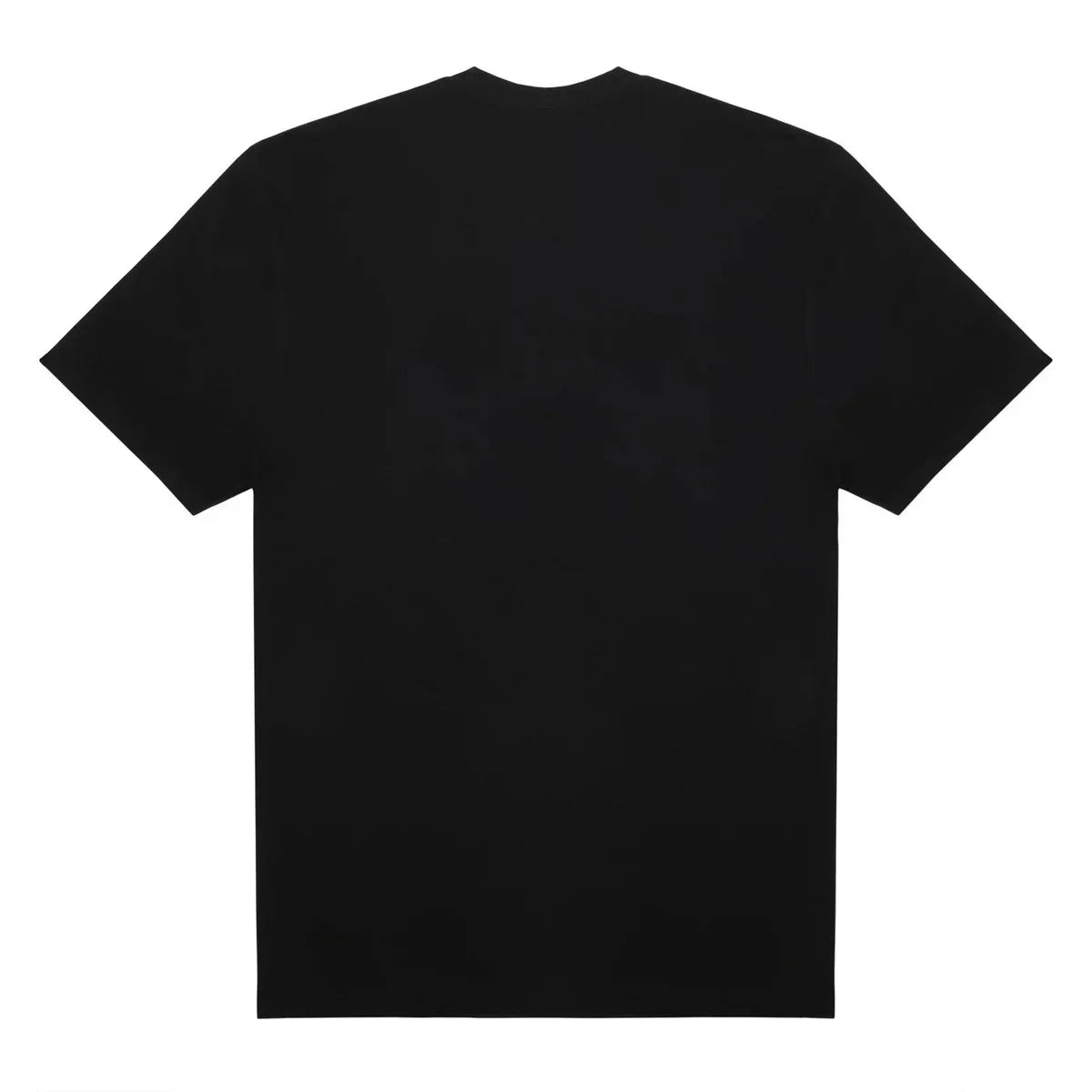 CAMISETA GARGOYLE