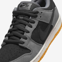 SB Dunk Low Pro