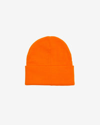 ICON EYES BEANIE
