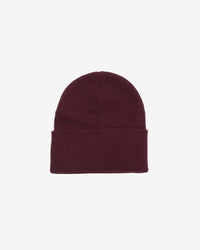ICON EYES BEANIE
