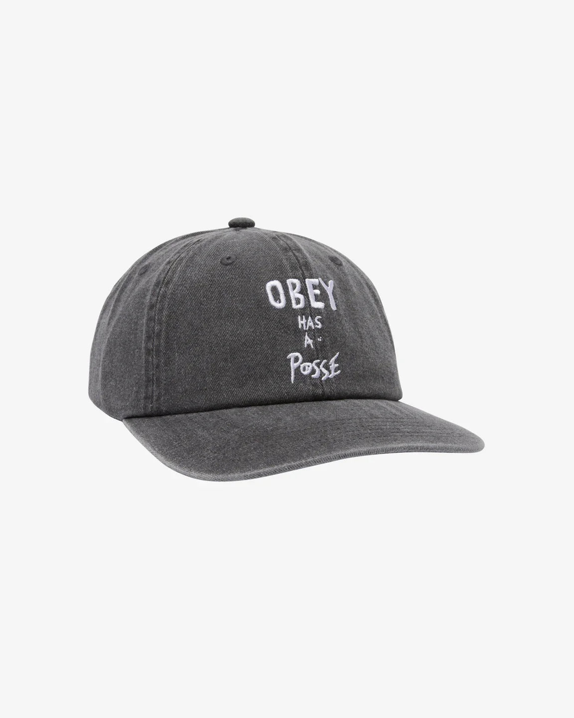 PIGMENT POSSE 6 PANEL SNAPBACK - Four Street