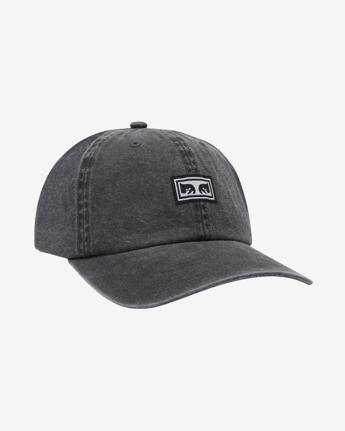 ICON EYES PIGMENT 6 PANEL