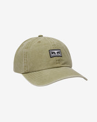 ICON EYES PIGMENT 6 PANEL
