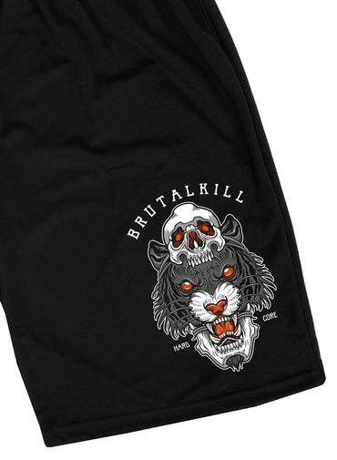Bermuda - Mikkel