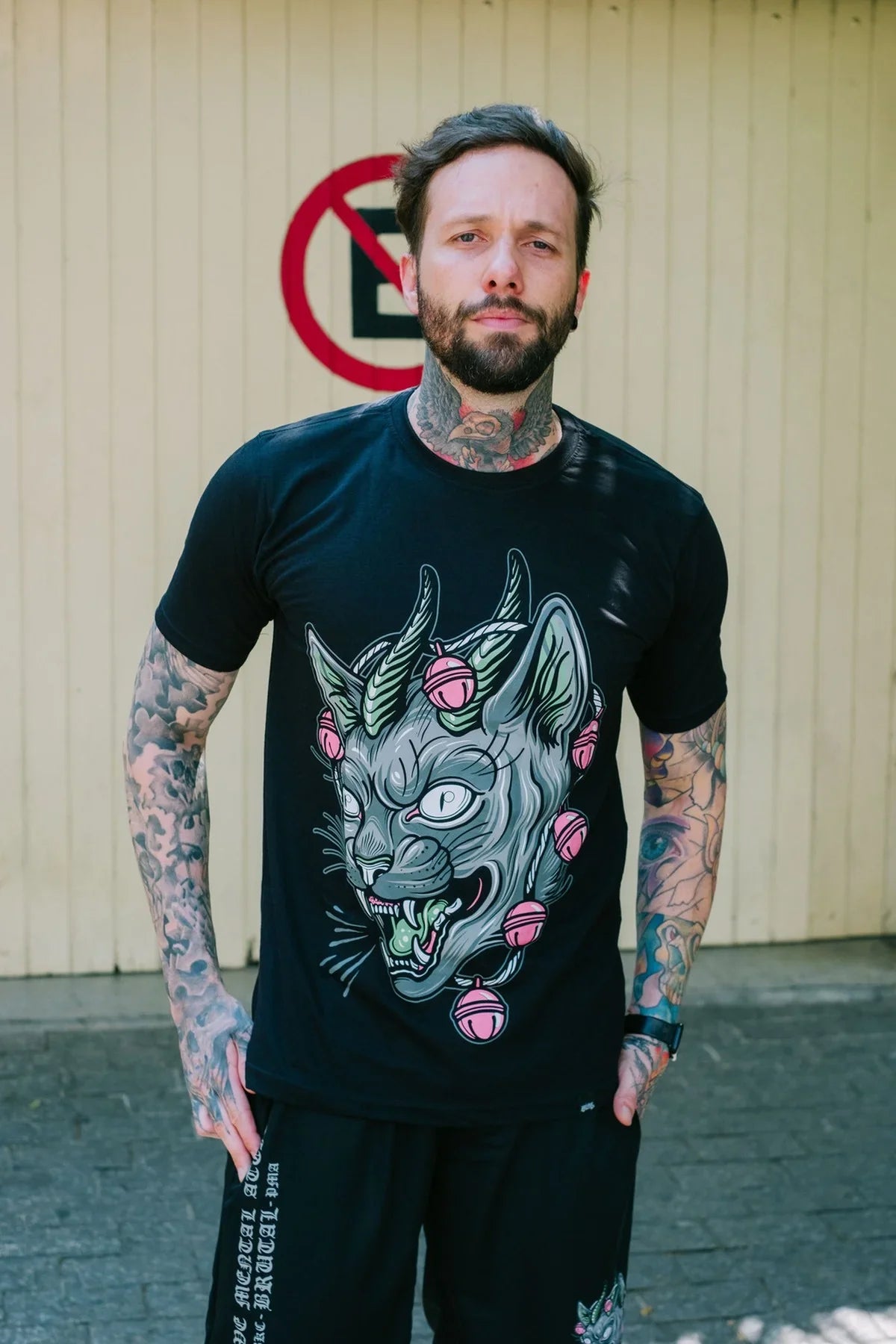 Camiseta - Insanis