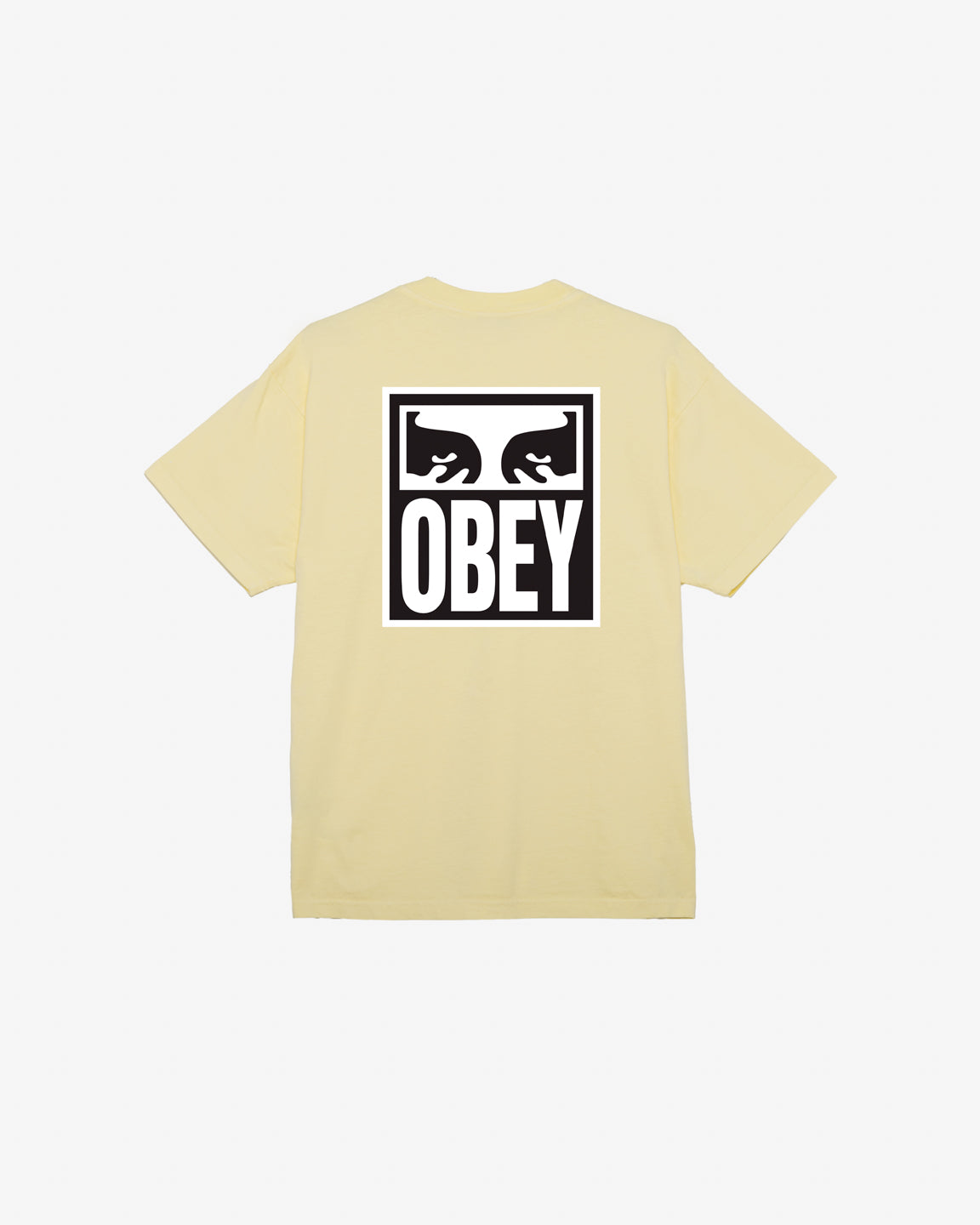 EYES ICON II HEAVYWEIGHT T-SHIRT