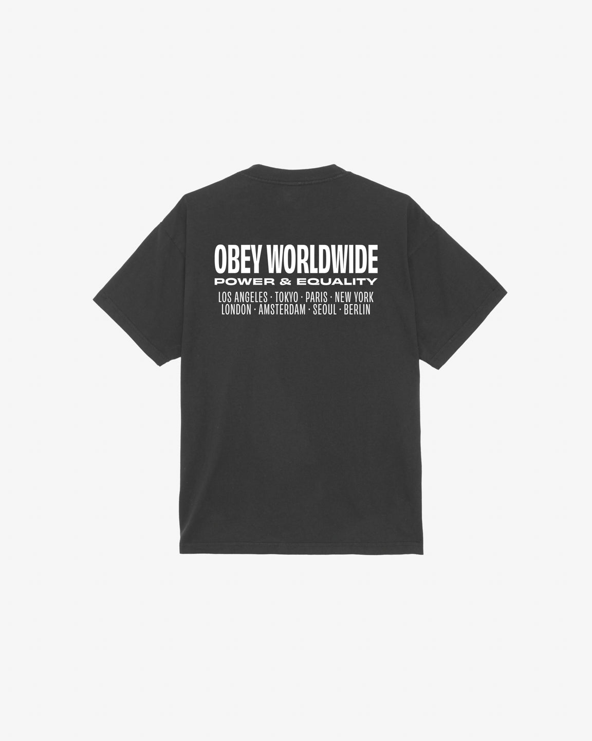 WORLDWIDE POWER & EQUALITY HEAVYWEIGHT T-SHIRT