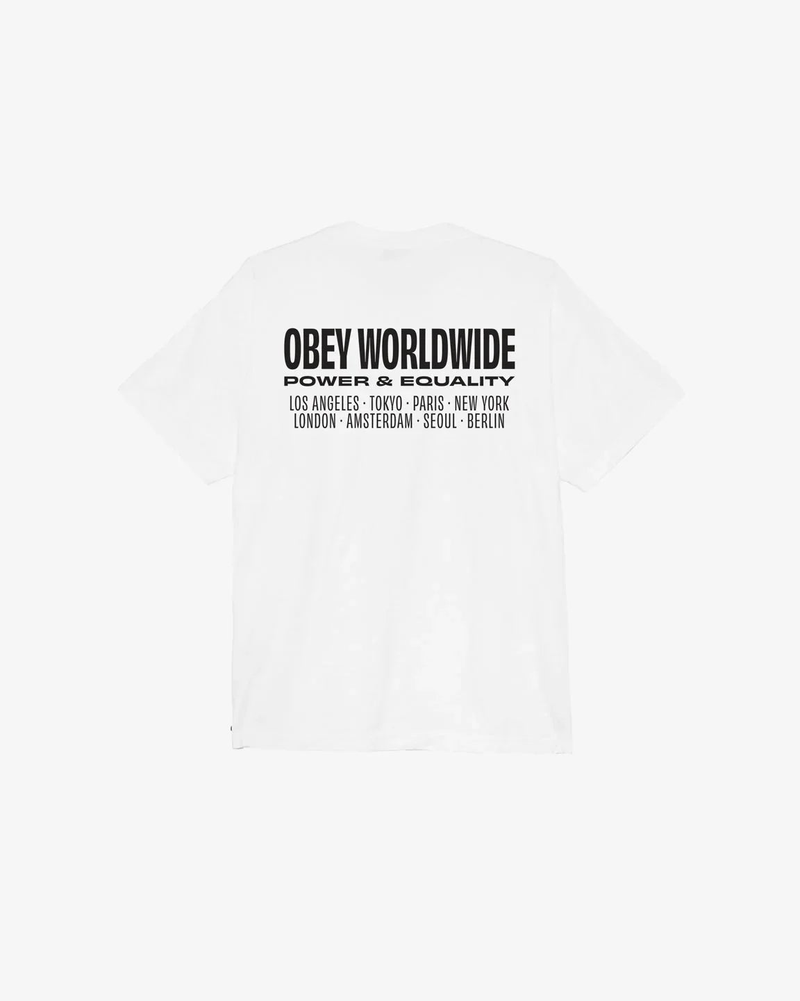 WORLDWIDE POWER & EQUALITY HEAVYWEIGHT T-SHIRT