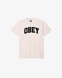 COLLEGIATE HEAVYWEIGHT T-SHIRT