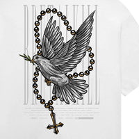 Camiseta Oversized - Praying