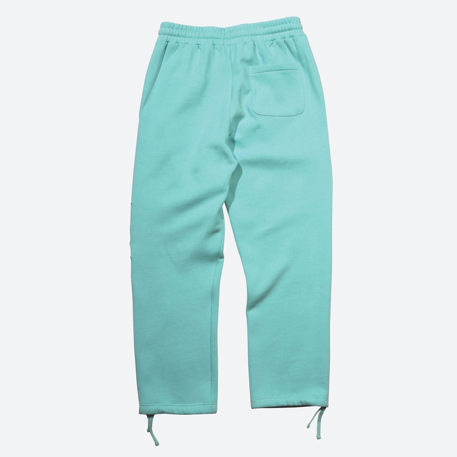 Wildstyle Embroidered Fleece Pant