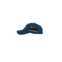 Grid Dad Hat in Blue