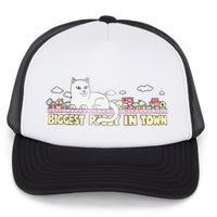 My Neighborhood Trucker Hat (Black) - Boné