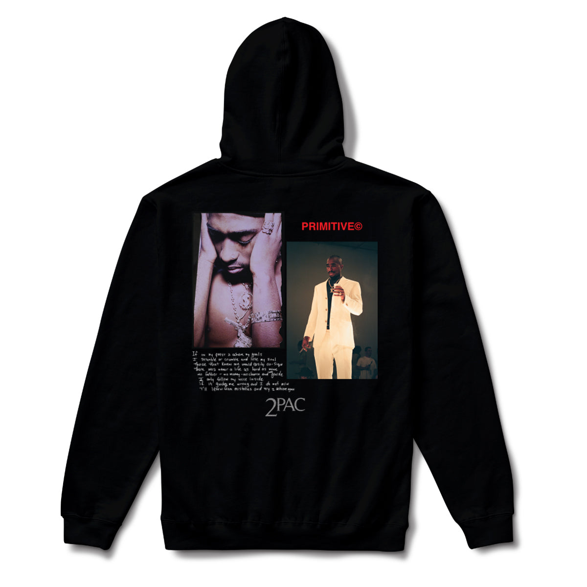 VOICE HOOD