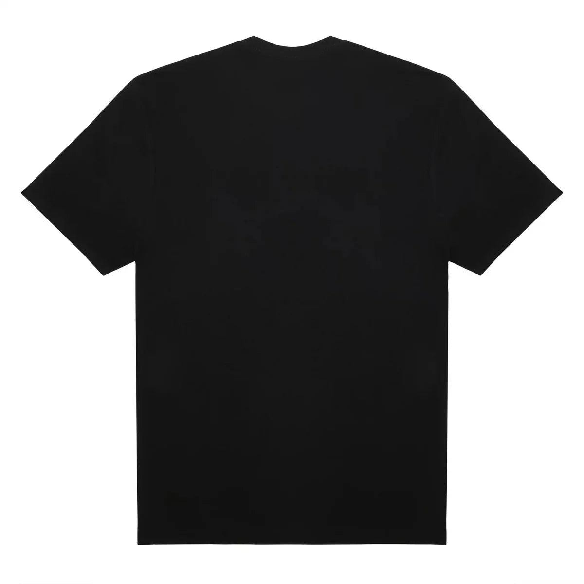 CAMISETA DOMINATION
